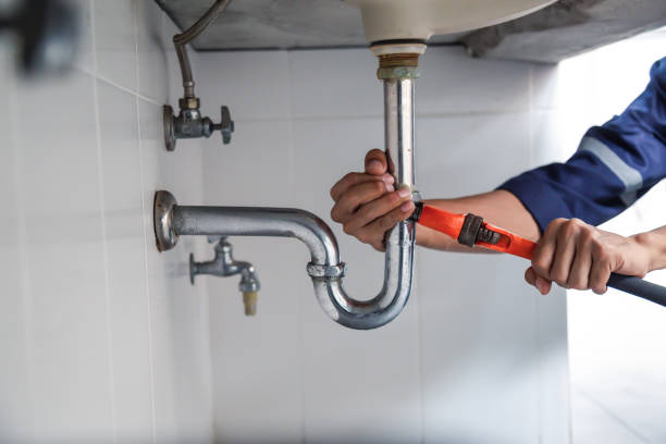 Best Local Plumber Services  in River Ridge, FL